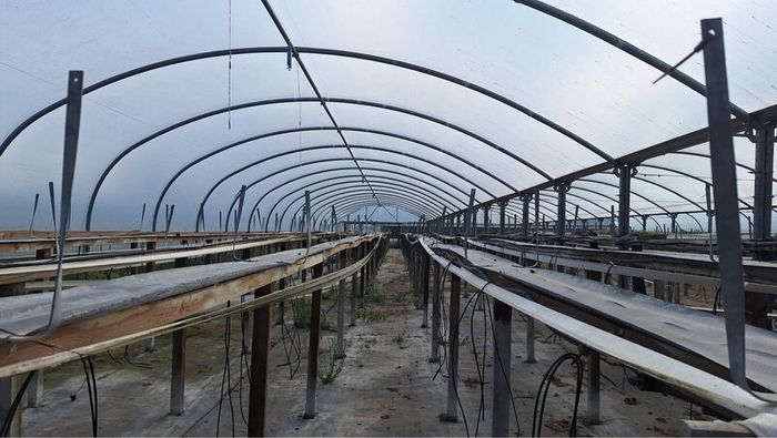 Polytunnel