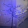 Tree...reduced To Image 2