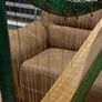 Harp Image 2