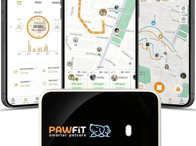 3 Gps Pet Tracker Gps Dog Tracker 4g Live Satellite Tracking Multiple ...