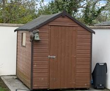 Shed 6 x 8
