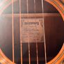 Tanglewood Guitar Image 3
