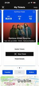 Rainbow Kitten Surprise X 2