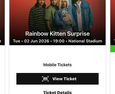 Rainbow Kitten Surprise X 2
