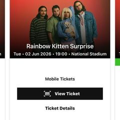 Rainbow Kitten Surprise X 2