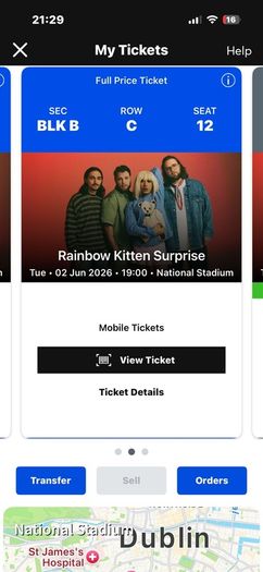 Rainbow Kitten Surprise X 2