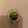 mini faux succulent Image 2