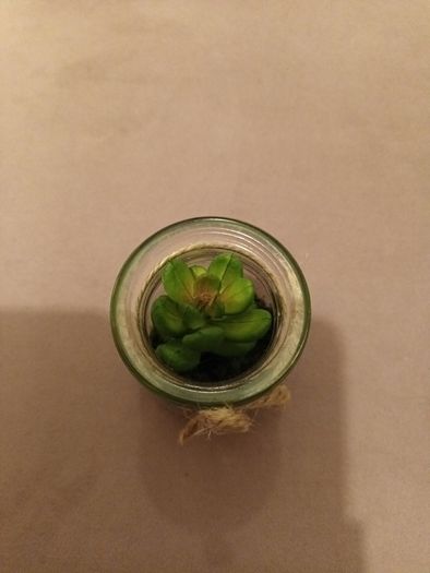mini faux succulent
