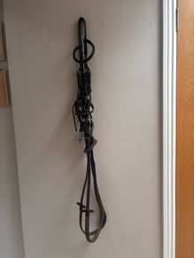 Horse bridle