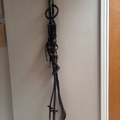 Horse bridle