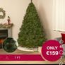 Christmas tree Image 3