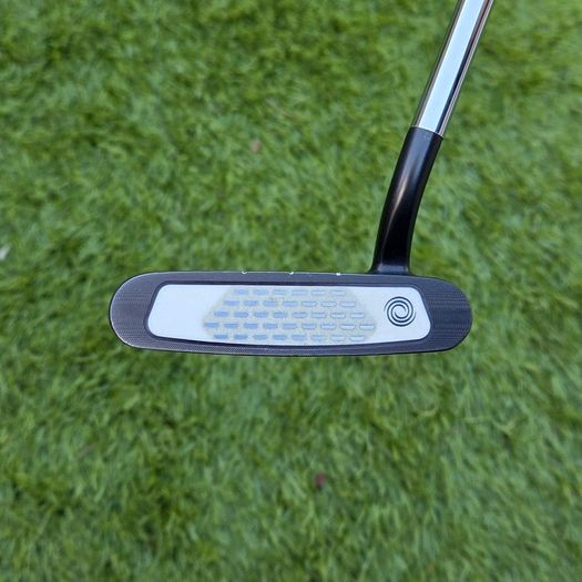 Odyssey Stroke Lab - Rossie