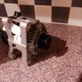 Peugeot 308 alternator Image 3