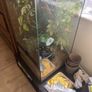 Exo Terra Terrarium 90x45cmx45cm Image 3