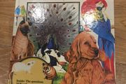Pets and Birdlife - Question and Answer Book