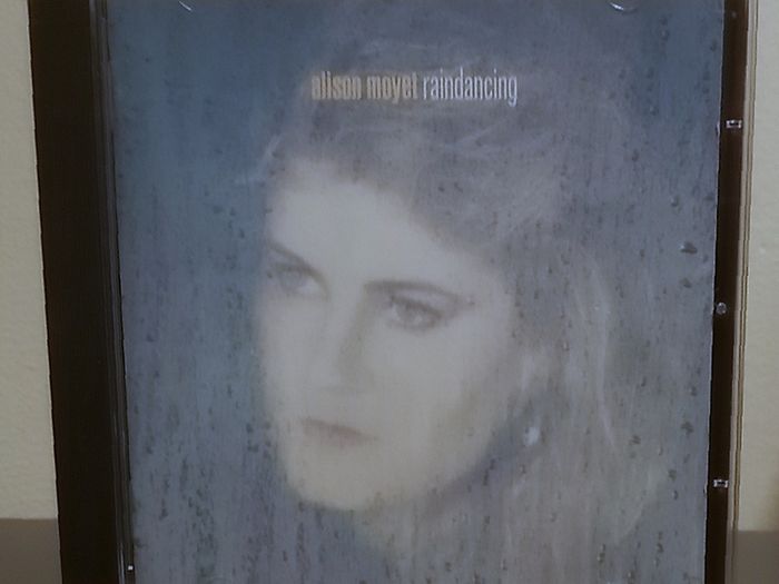 Alison Moyet Raindancing CD Album