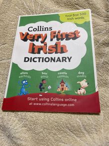 Irish language children's book