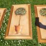 80x40c framed plant pictures Image 2