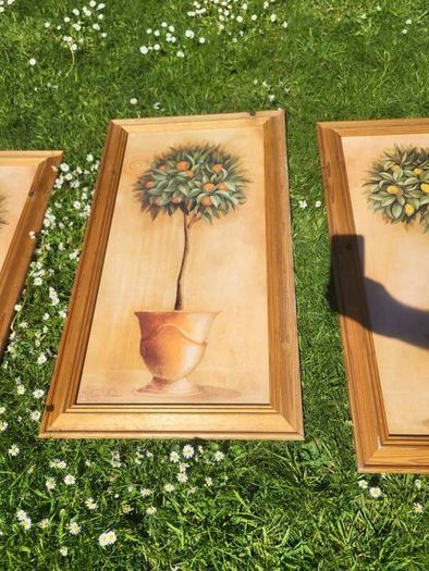 80x40c framed plant pictures