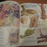 Vintage The cub scout 1982 Annual Image 3