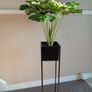 holder and fake plant Image 3