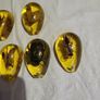 Insects in amber lucite 10 each Image 7