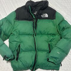 the north face jacket