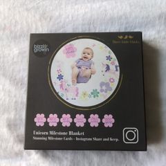 Unicorn Milestone Blanket