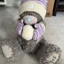 Tatty Teddy Image 7