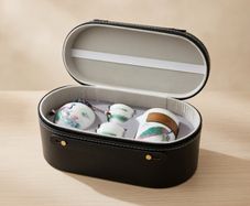 Elegant Portable Ceramic Teacup Set with carry Case
