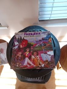 weve got a fuzzbox bostin Steve Austin vinyl lp