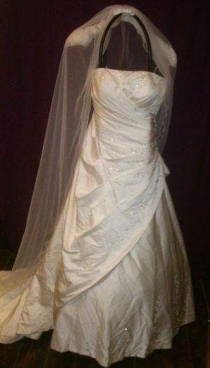 Magnificent Ivory Wedding Dress