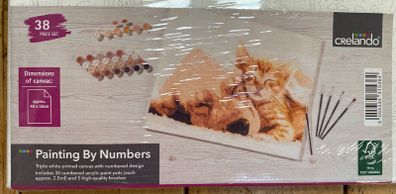 Paint by number