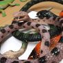 Snakes plastic collection Image 6