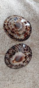 Breastfeeding Baby Shell Nipple Protectors