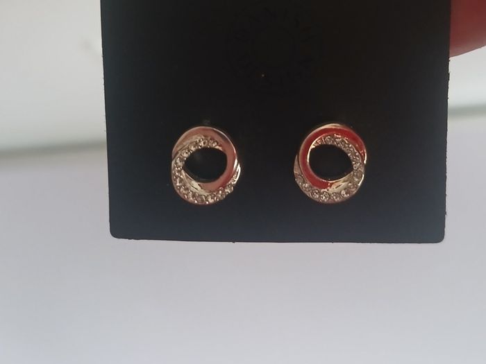 Pilgrim Danish Design Silver Tone Sparkling Open Circle Stud Earrings New CAN POST