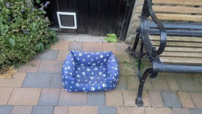 Cat Bed