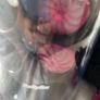 Babyliss curl pods Image 2