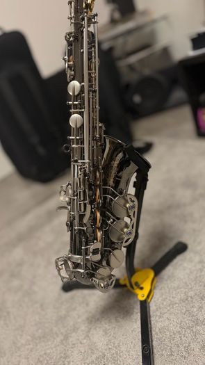 Alto Saxophone Mansdone