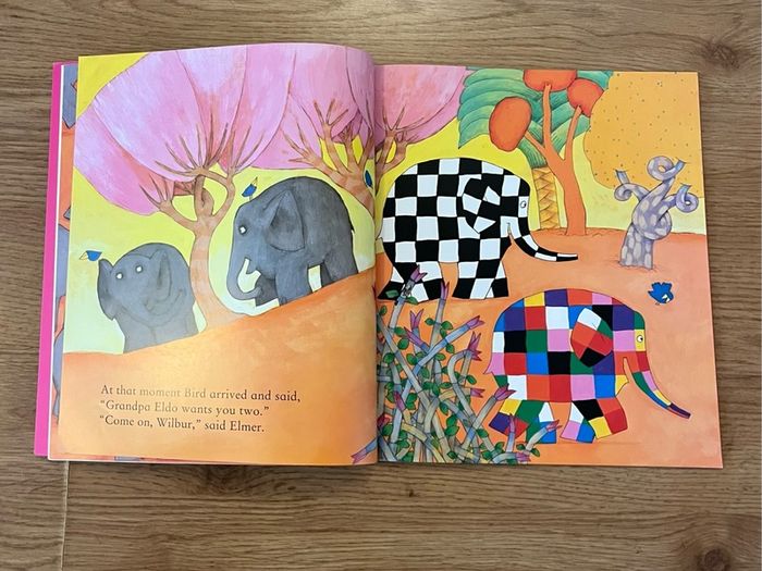 Elmer and Rose by David McKee