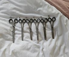 dog grooming scissors