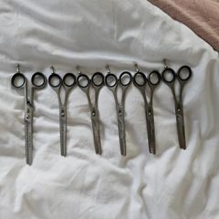 dog grooming scissors