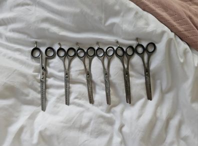 dog grooming scissors