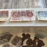 old money Image 6