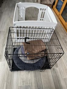 Dog Cage & Pen
