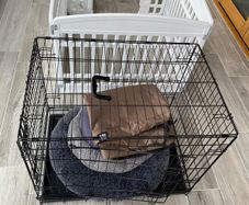 Dog Cage & Pen