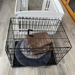 Dog Cage & Pen