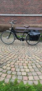 Electrical Bike Momentum T Model