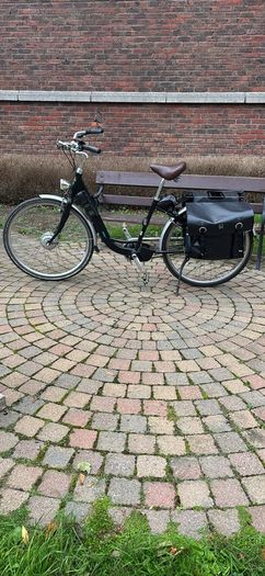 Electrical Bike Momentum T Model