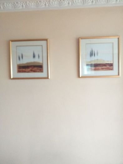 Pictures